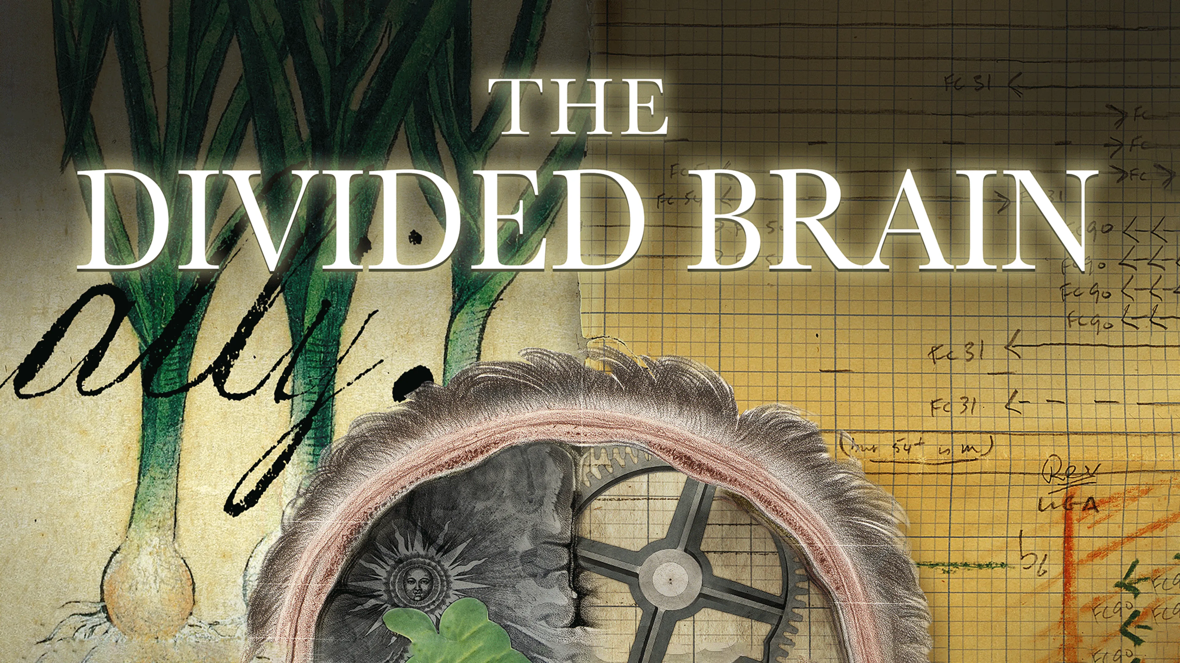 The Divided Brain poster